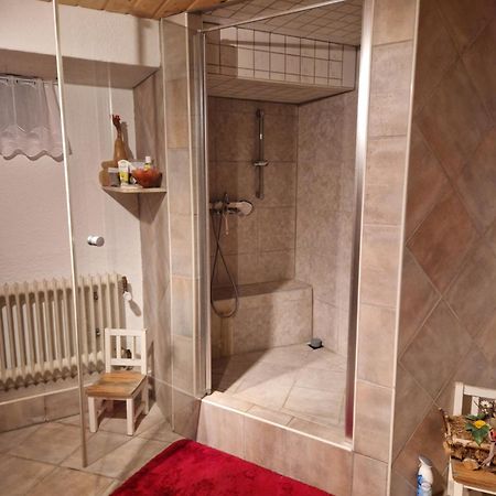 Grosses Gemuetliches Zimmer Mit Eigener Dusche Und Sauna Auf Wunsch Rheinstetten Dış mekan fotoğraf